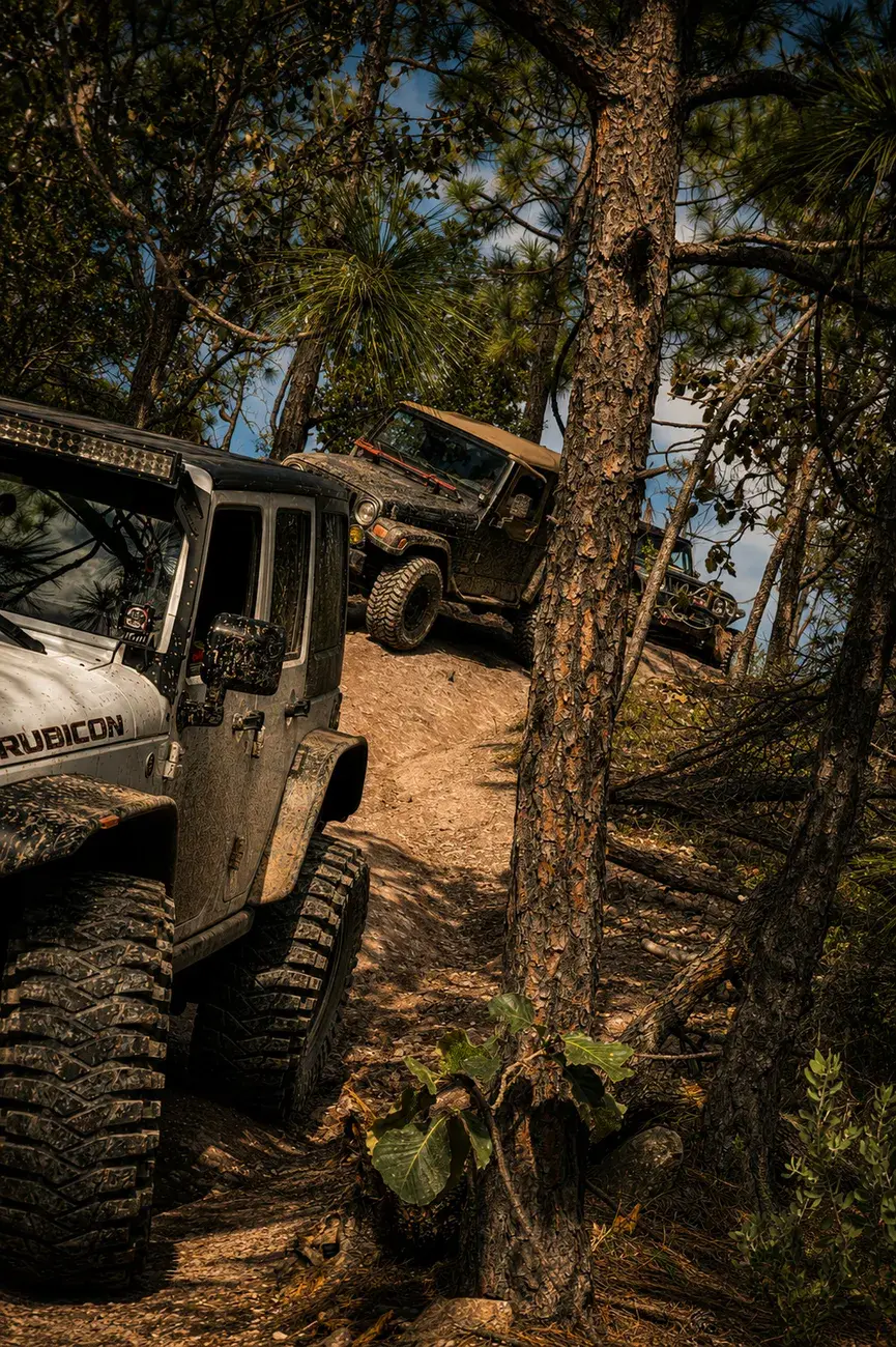 Convoy de Jeeps avanzando por una ruta de bosque