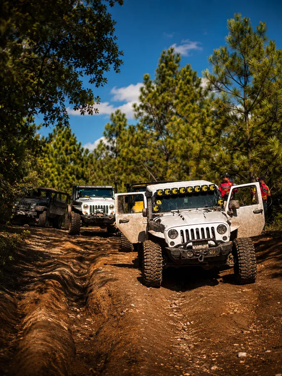 Grupo de vehículos todoterreno reunidos durante una ruta